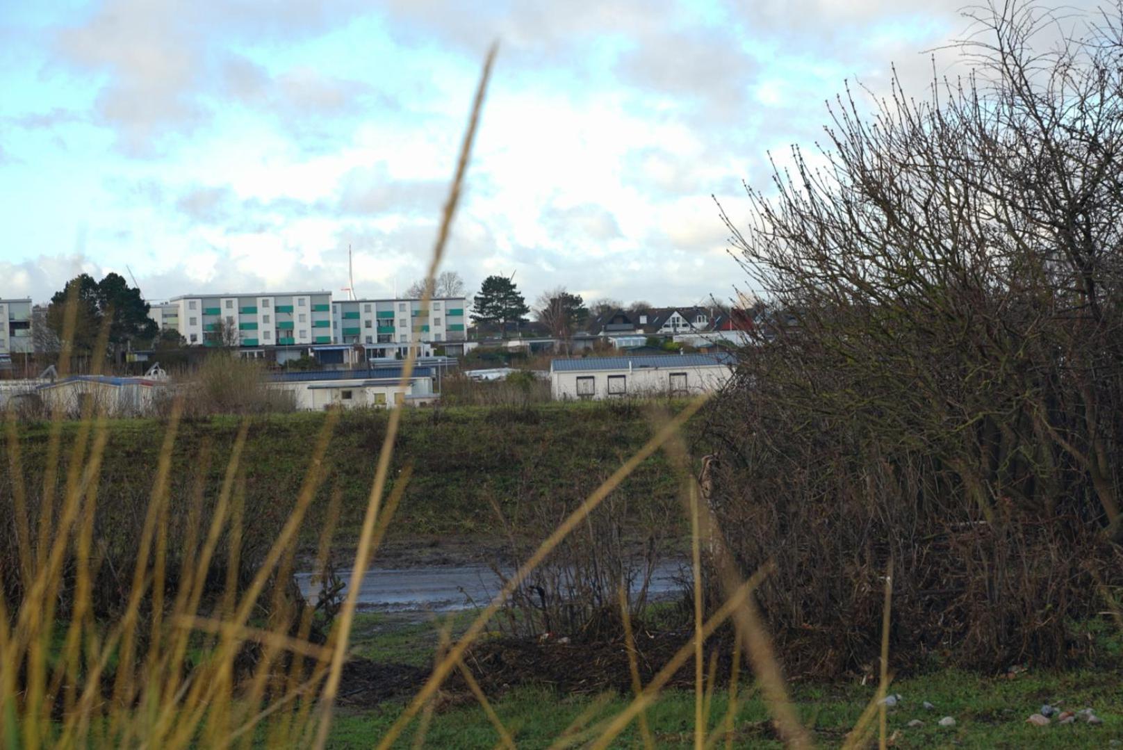 Apartment Mit Meerblick Heringsdorf  エクステリア 写真