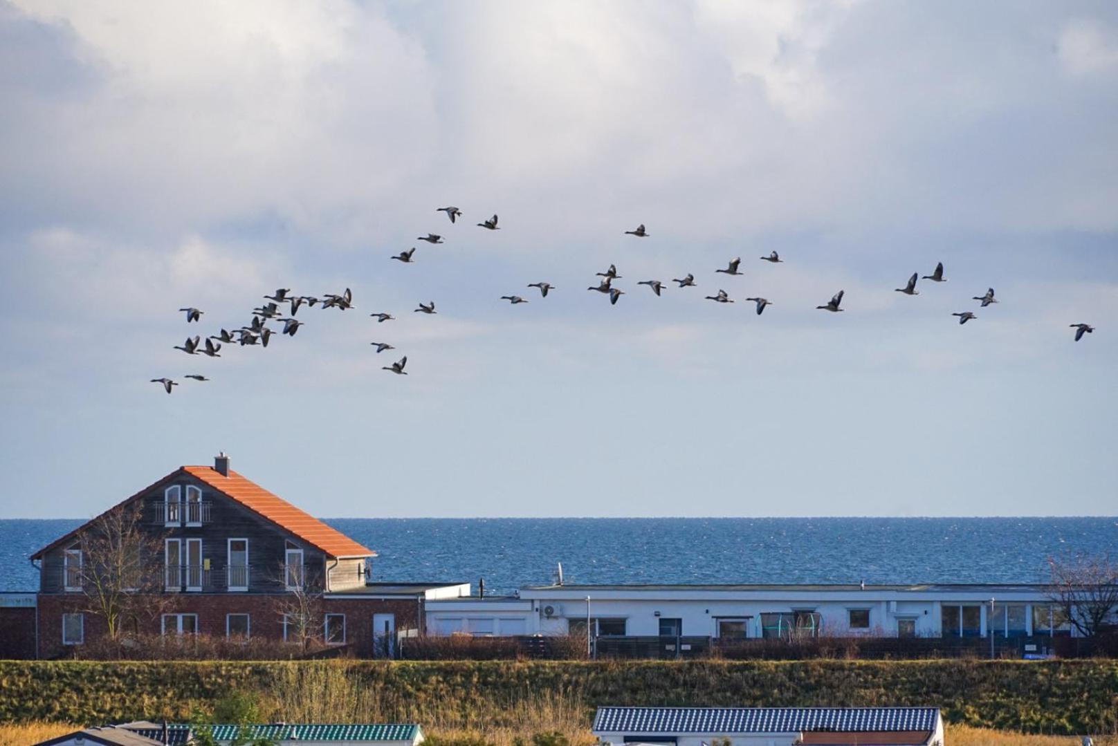 Apartment Mit Meerblick Heringsdorf  エクステリア 写真